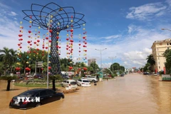 Nước sông Cầu dâng cao, gây ngập lụt nhiều khu vực trung tâm tỉnh lỵ Thái Nguyên. (Ảnh: Dương Giang/TTXVN)