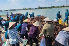 Lực lượng chức năng và người dân chống lũ, di dời an toàn các hộ dân đến vùng an toàn. (Ảnh: TTXVN phát)