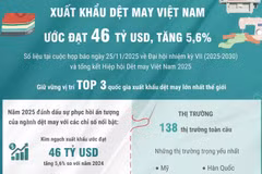 Xuất khẩu dệt may Việt Nam năm 2025 ước đạt 46 tỷ USD, tăng 5,6%