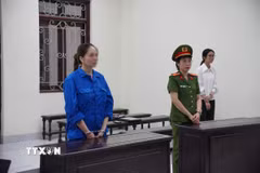 Bị cáo Nguyễn Thị Vân Anh tại phiên tòa. (Ảnh: Kim Anh/TTXVN)