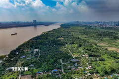 Hà Nội mở cơ chế khai thác đất bãi sông phục vụ nông nghiệp sinh thái. (Ảnh minh họa: Trung Nguyên/TTXVN)