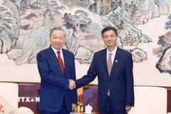 Tổng Bí thư, Chủ tịch nước Tô Lâm hội kiến đồng chí Trần Cương, Ủy viên Trung ương Đảng, Bí thư khu ủy Khu tự trị dân tộc Choang Quảng Tây. (Ảnh: Thống Nhất/TTXVN)