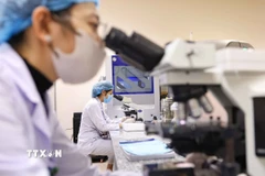 Ảnh minh họa. (Ảnh: Thanh Tùng/TTXVN)