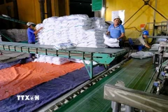 Ngành mía đường Việt Nam đang đối mặt với những thách thức ngày càng nghiêm trọng (Ảnh: TTXVN)