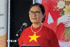 Chủ tịch Hiệp hội Hữu nghị Malaysia-Việt Nam Trần Thị Chang. (Ảnh: Viên Luyến/TTXVN)