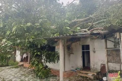 Mưa lớn và lốc xoáy đã khiến 25 ngôi nhà và công trình ở Hương Sơn hư hỏng. (Nguồn: Báo Hà Tĩnh)
