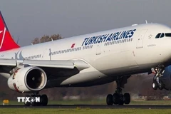 Turkish Airlines là một trong 6 hãng hàng không quốc tế bị Venezuela thu hồi giấy phép. (Ảnh: IRNA/TTXVN)