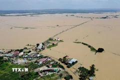 Nước lũ trên cánh đồng Buôn Chóah, xã Nam Đà, tỉnh Lâm Đồng (ảnh chụp ngày 26/11). (Ảnh: Hưng Thịnh/TTXVN)