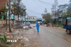 Lực lượng y tế Gia Lai khẩn trương xử lý môi trường ngay khi nước lũ rút. (Ảnh: Quang Thái/ TTXVN)