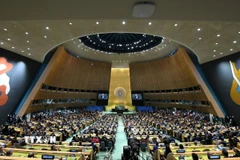 Toàn cảnh một cuộc họp Đại hội đồng Liên hợp quốc tại New York, Mỹ. (Ảnh: THX/TTXVN)