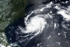 Nhật Bản: Bão Peipah đổ bộ, gây mưa lớn tại nhiều khu vực