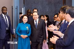 Chủ tịch Quốc hội Trần Thanh Mẫn và Phu nhân gặp gỡ cán bộ Đại sứ quán, cộng đồng người Việt Nam tại Senegal. (Ảnh: Doãn Tấn/TTXVN)