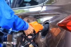 Ảnh minh họa. (Ảnh: Tuấn Anh/TTXVN)