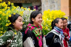 Ảnh minh họa. (Ảnh: Khánh Hòa/TTXVN)