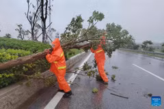 Trung Quốc tiếp tục ban hành cảnh báo màu cam về siêu bão Ragasa. (Nguồn: Xinhua)