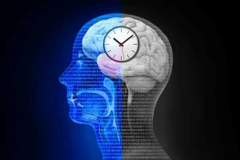 Nhịp sinh học và chu kỳ ngủ-thức bị ảnh hưởng bởi cách việc tiếp xúc với ánh sáng Mặt Trời điều hòa sự tiết melatonin trong não bộ và cơ thể con người. (iStock)