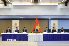 Tổng Bí thư Tô Lâm và đại biểu đoàn Việt Nam tại buổi tiếp Hội hữu nghị Phần Lan-Việt Nam và nhóm chuyên gia Phần Lan từng tham gia các dự án hỗ trợ tại Việt Nam. (Ảnh: Thống Nhất/TTXVN)