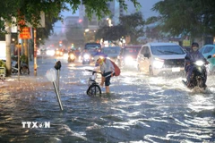 Nước ngập lênh láng trên đường Cách Mạng Tháng Tám, phường Cái Khế, thành phố Cần Thơ, khi triều cường lập đỉnh kỷ lục mới 2,29m. (Ảnh: Thanh Liêm/TTXVN)