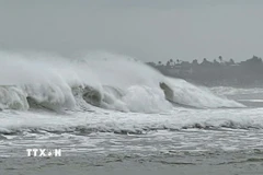 Do ảnh hưởng bão số 12, vùng biển Quảng Ngãi hiện có sóng biển rất lớn. (Ảnh: Phạm Cường/TTXVN)