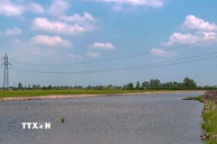 Đường điện 220kV giao chéo dự án thành phần 2 cao tốc Châu Đốc-Cần Thơ-Sóc Trăng qua địa bàn xã Đông Hiệp, thành phố Cần Thơ. (Ảnh: Thanh Liêm/TTXVN)