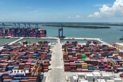 (Ảnh: Hoàng Nhị/TTXVN)