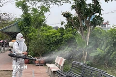 Ảnh minh họa. (Ảnh: TTXVN phát)