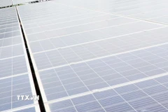 Ảnh minh họa. (Ảnh: Công Thử/TTXVN)