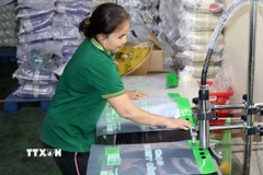 Kiểm soát chặt hoạt động sản xuất, kinh doanh và xuất khẩu, ổn định thị trường gạo