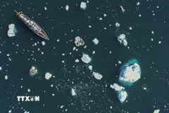 Băng biển tại Bắc Cực giảm xuống mức thấp nhất từ trước đến nay. (Ảnh: AFP/TTXVN)