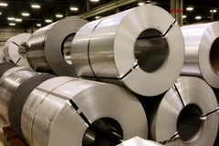 Ảnh minh họa. (Nguồn: Internet)