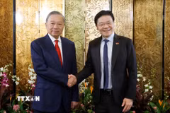 Tổng Bí thư, Chủ tịch nước Tô Lâm hội đàm với Thủ tướng Singapore Lawrence Wong. (Ảnh: Thống Nhất/TTXVN)
