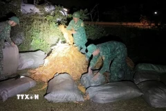 Hoạt động buôn lậu qua biên giới. (Ảnh minh họa: TTXVN phát)