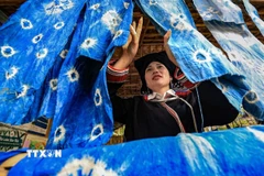 Văn hóa Dao Tiền thăng hoa cùng du lịch cộng đồng bản Sưng. (Ảnh: Trọng Đạt/TTXVN)