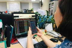 Ảnh minh họa. (Ảnh: Vietnam+)