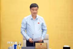 Phó Chủ tịch Quốc hội Vũ Hồng Thanh phát biểu. (Ảnh: Doãn Tấn/TTXVN)
