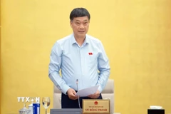 Phó Chủ tịch Quốc hội Vũ Hồng Thanh phát biểu. (Ảnh: Doãn Tấn/TTXVN)