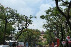 Hà Nội ngày nắng, có nơi nắng nóng; chiều có thể có dông, đêm không mưa. (Ảnh: Vietnam+)