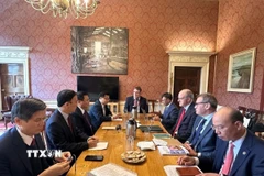 Đoàn công tác làm việc cùng Bộ Giáo dục đại học, sau đại học, nghiên cứu, đổi mới sáng tạo và khoa học Ireland (DFHERIS). (Ảnh: TTXVN phát)