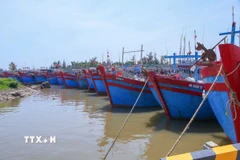 Các tàu bè neo đậu tại cảng cá Ninh Cơ. (Ảnh: Công Luật/TTXVN)