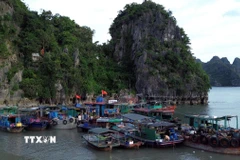 Các tàu đánh bắt hải sản tránh trú bão. (Ảnh: Đức Hiếu/TTXVN)