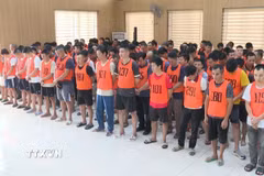 Cơ quan Cảnh sát điều tra Công an tỉnh Thanh Hóa đã khởi tố vụ án, khởi tố 196 bị can, trong đó 60 bị can về hành vi “Tổ chức đánh bạc” và 136 bị can về hành vi “Đánh bạc,” đồng thời tạm giam 147 đối tượng để phục vụ công tác điều tra. (Ảnh: TTXVN phát)
