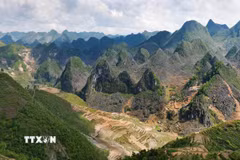 Cao nguyên đá Đồng Văn. (Ảnh: TTXVN phát)
