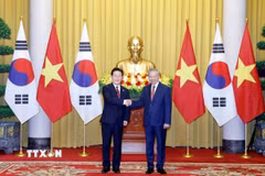 Tổng Bí thư, Chủ tịch nước Tô Lâm và Tổng thống Hàn Quốc Lee Jae Myung chụp ảnh chung. (Ảnh: Thống Nhất/TTXVN)