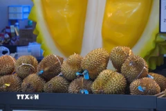 Sầu riêng được bày bán tại chợ Tân Phát Địa. (Ảnh: Quang Hưng/TTXVN)