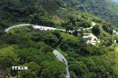 Đèo Ngoạn Mục dài khoảng 18km, uốn lượn qua các sườn núi, giữ vai trò cửa ngõ kết nối cao nguyên Lâm Đồng với vùng duyên hải Nam Trung Bộ. (Ảnh: Nguyễn Huy Thành/TTXVN)
