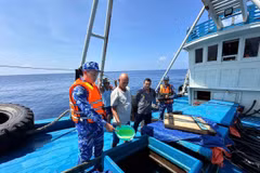 Lực lượng chức năng Bộ Tư lệnh Vùng Cảnh sát biển 4 kiểm tra hàng hóa trên tàu ĐT 93734 TS.
