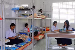Ảnh minh họa. (Ảnh: Tuấn Phi/TTXVN)