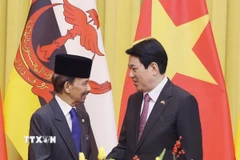 Chủ tịch nước Lương Cường và Quốc vương Brunei Darussalam Haji Hassanal Bolkiah chụp ảnh chung trước hội đàm. (Ảnh: Lâm Khánh/TTXVN)