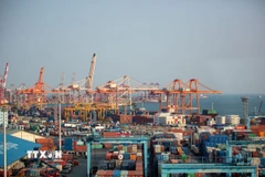 Quang cảnh cảng hàng hóa tại Busan, Hàn Quốc. (Ảnh: THX/TTXVN)