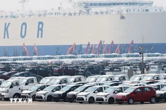 Ôtô chờ xuất khẩu tại cảng ở Pyeongtaek, phía nam thủ đô Seoul, Hàn Quốc. (Ảnh: Yonhap/TTXVN)